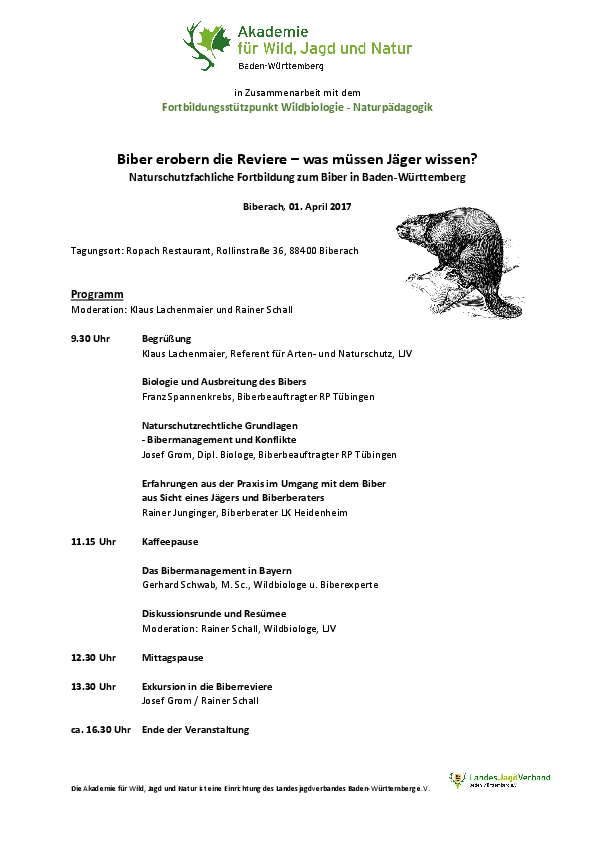 pdf-preview