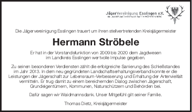 pdf-preview