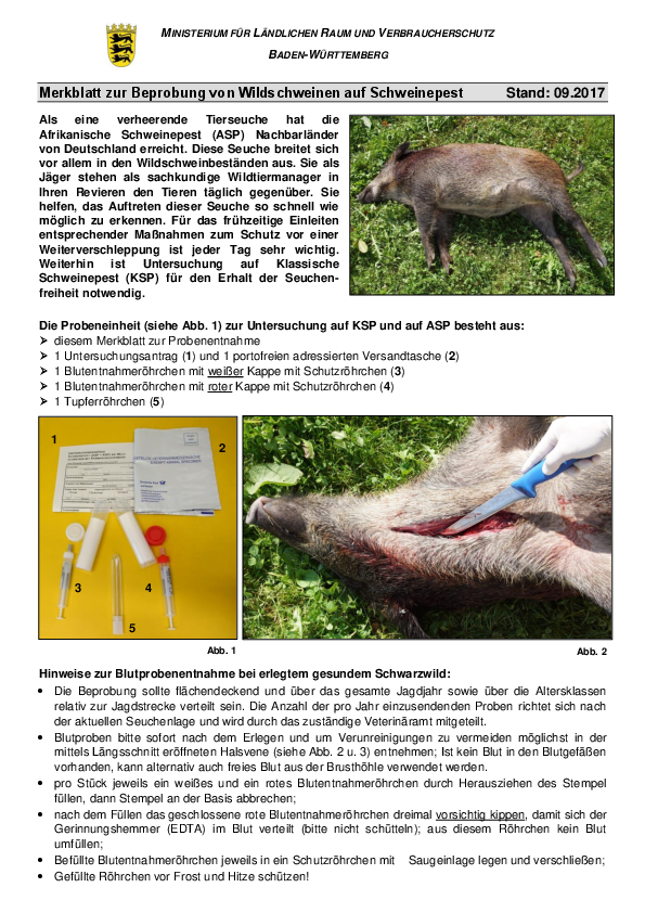 pdf-preview