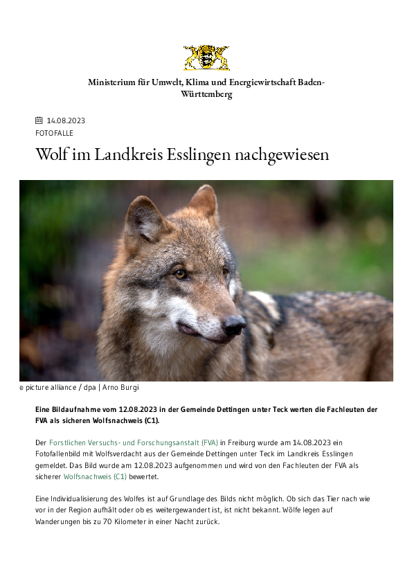 pdf-preview