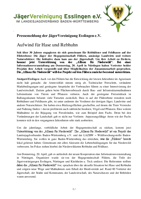 pdf-preview
