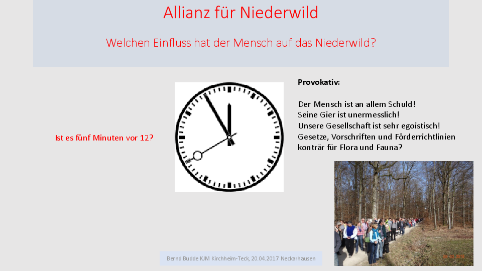 pdf-preview