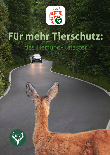 pdf-preview