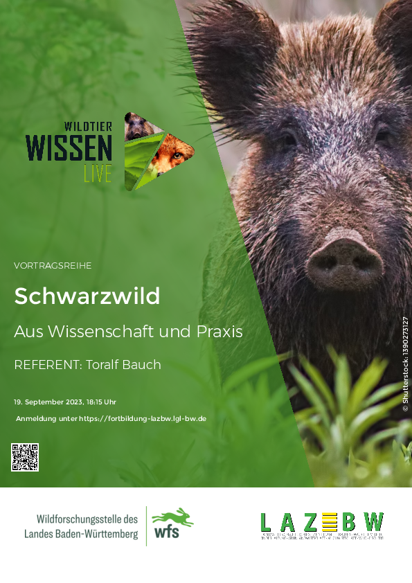pdf-preview