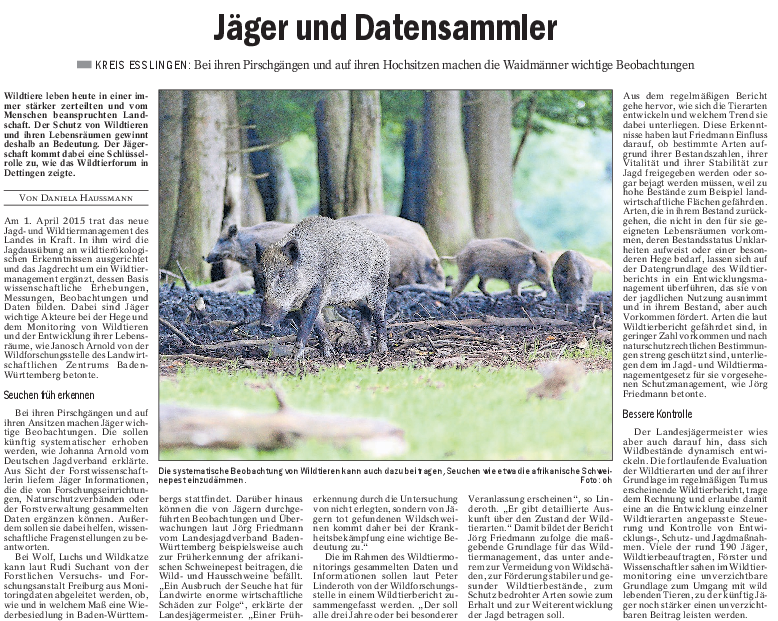 pdf-preview