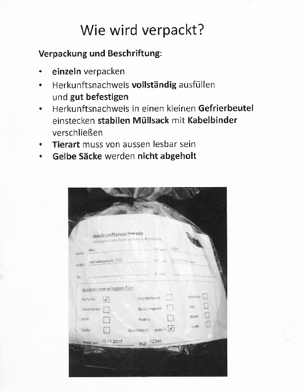 pdf-preview