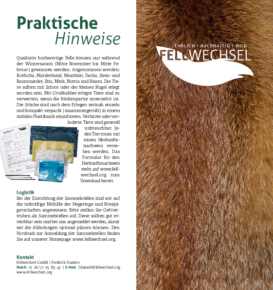 pdf-preview