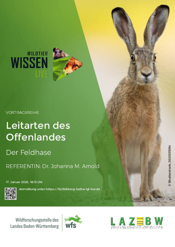 pdf-preview