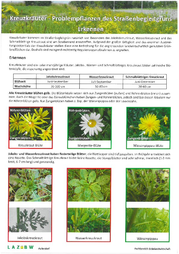 pdf-preview
